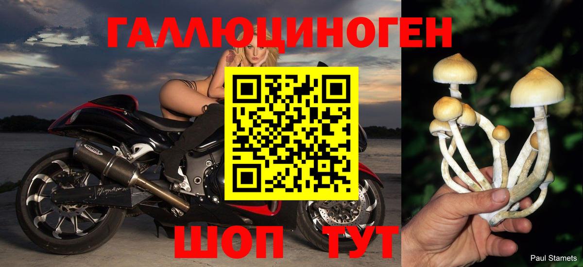 Ялта  Галлюциногенные грибы Cubensis  Псилоцибиновые грибы Psilocybe  Вход с VPN 